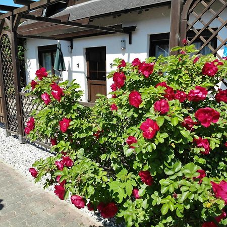 Ferienhaus Kress Links Sellin  ภายนอก รูปภาพ