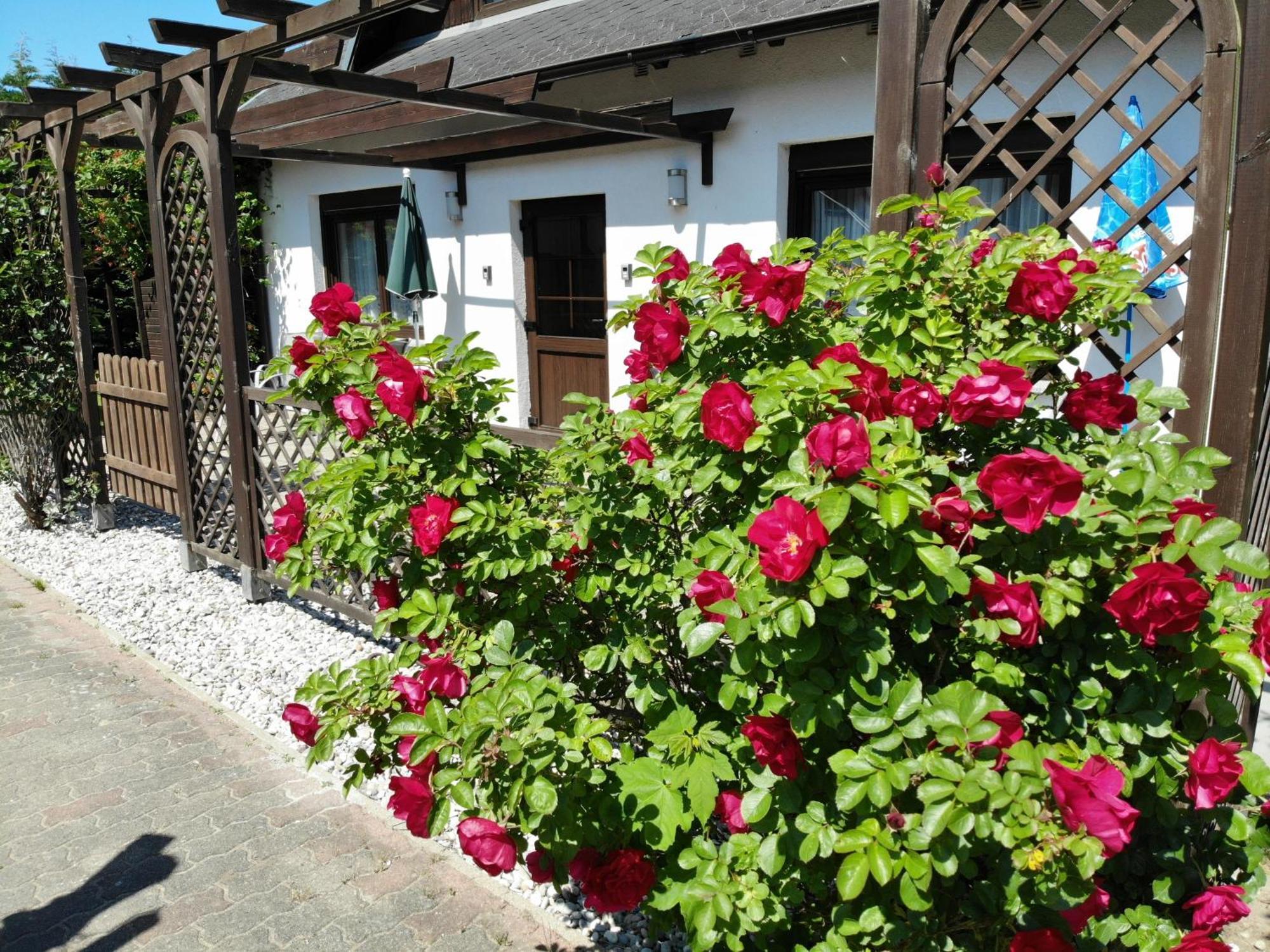 Ferienhaus Kress Links Sellin  ภายนอก รูปภาพ